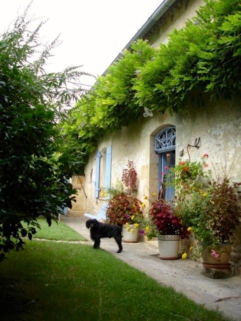 La Petite Provence De Touron Bed & Breakfast Pujols  Ngoại thất bức ảnh